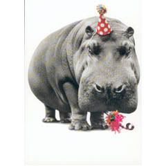 hippo with a hat